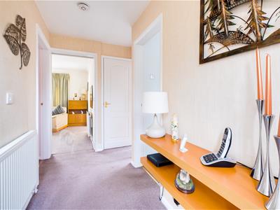 Picture 9